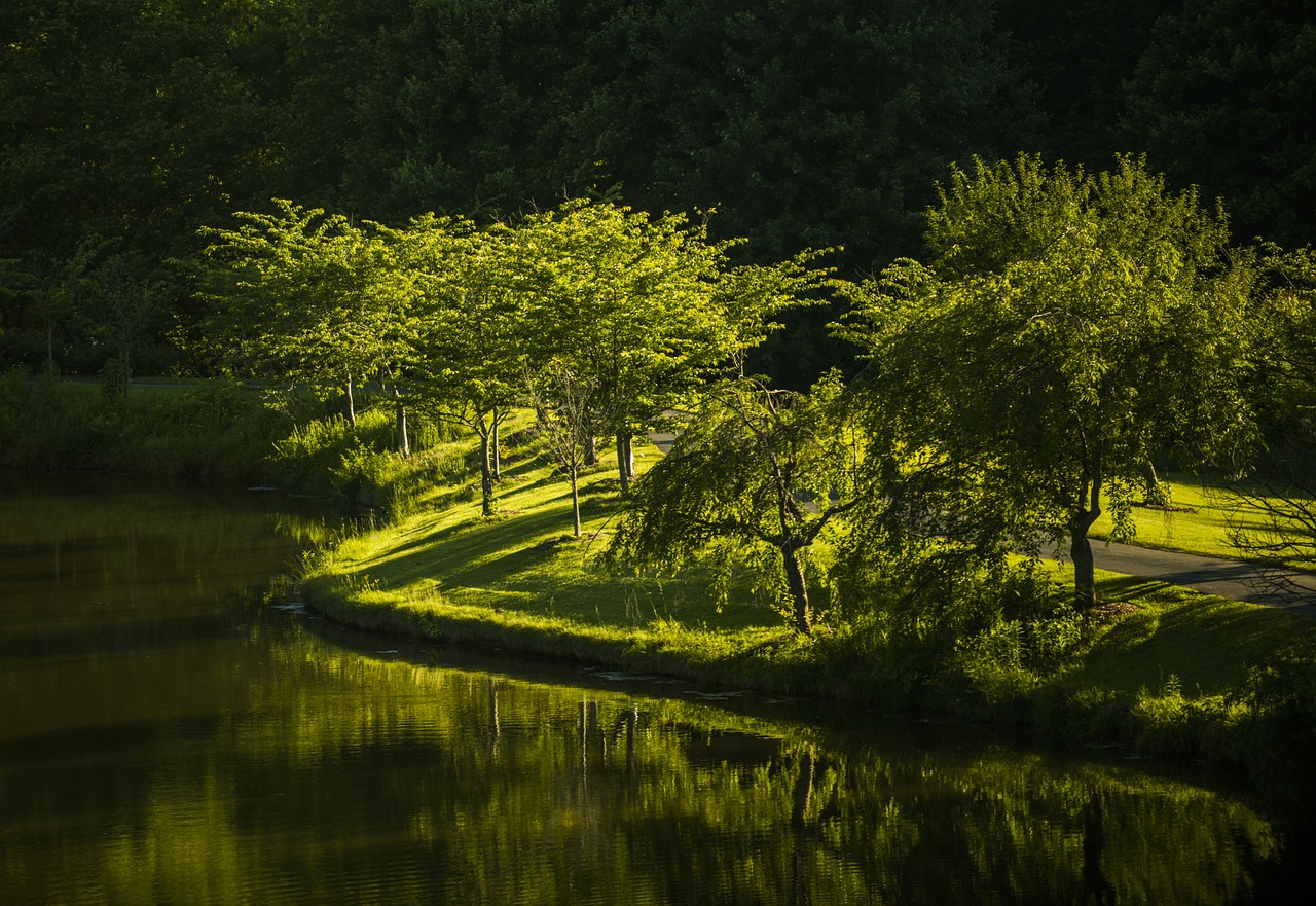 park in virginia