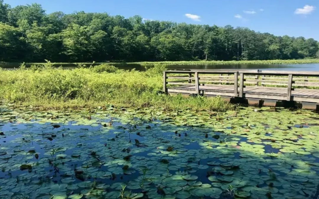 A Journey Through Its Hiking Trails Near Short Pump