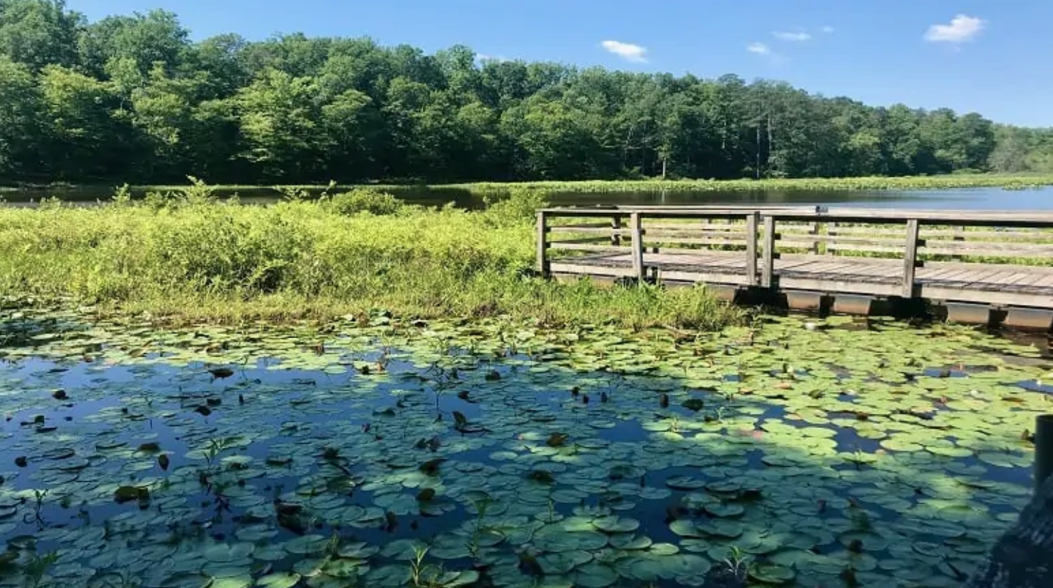 A Journey Through Its Hiking Trails Near Short Pump